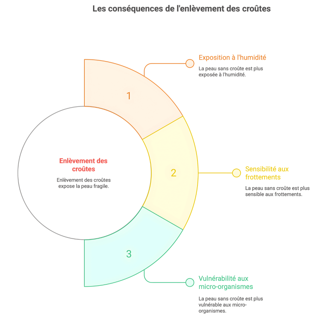 enl&egrave;vement cro&ucirc;tes gale de boue cheval